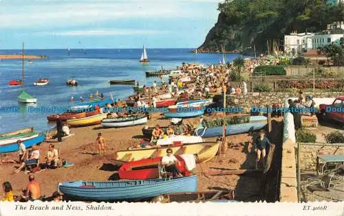 R662925 Shaldon. The Beach and Ness. Bamforth