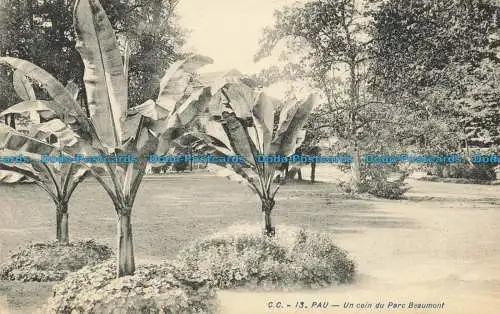 R661300 Pau. Un Coin du Parc Beaumont