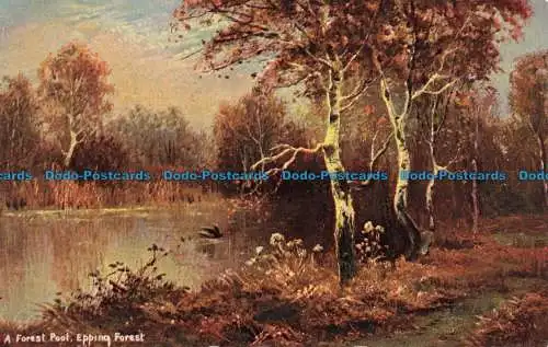 R662143 Epping Forest. Ein Waldbecken. S. Hildesheimer. Ansichten der Chingford-Serie