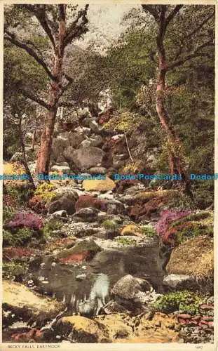 R663234 Dartmoor. Becky Falls. Postkarte