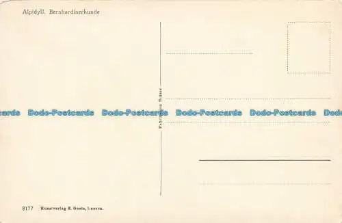 R662370 Alpidyll. Bernhardinerhunde. E. Goetz