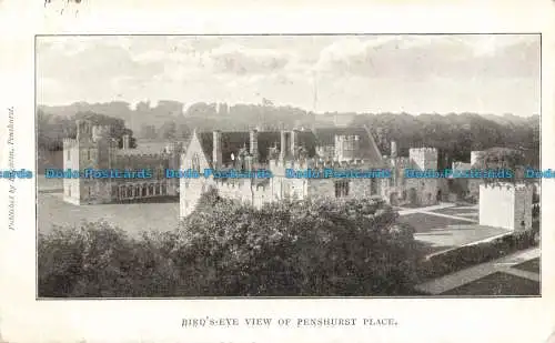 R665484 Penshurst Place aus der Vogelperspektive. Adler. 1907