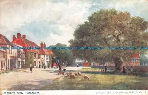 R665655 Winchelsea. Wesley Tree. Die Aquarellpostkarte. W. H. Borrow