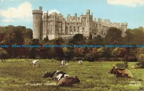 R664392 Schloss Arundel. F. Frith. 1969