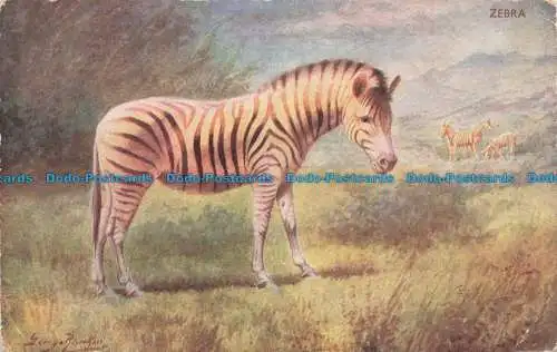 R666907 Zebra. J. Salmon. Postkarte