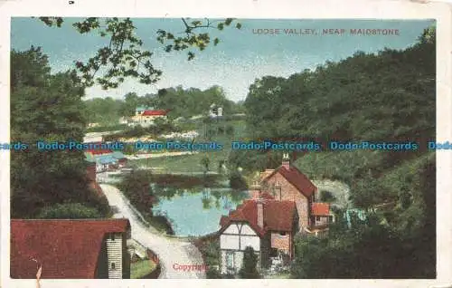 R667808 Loose Valley. in der Nähe von Maidstone. G.D. und D. Star Serie