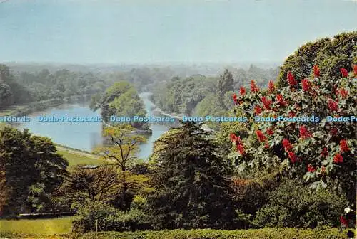 D013467 Ein Blick vom Richmond Hill. Surrey. J. Arthur Dixon. 1964