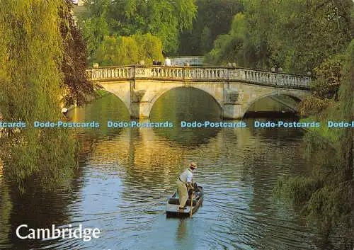 D018475 Cambridge. Clare Bridge. Die Rückseiten. Lachs