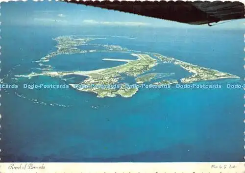 D013493 Antenne von Bermuda. G. Fendler. Dexter
