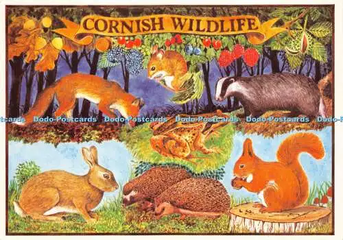 D018529 Cornish Wildlife. Landschaft. Sammlerserie. Murray King