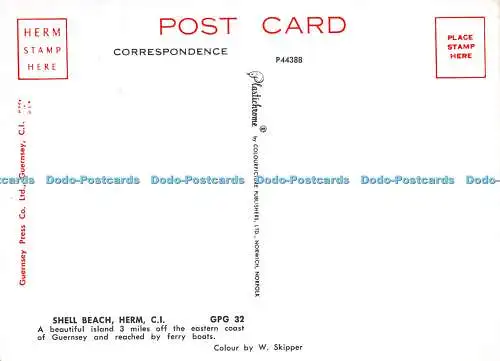 D013555 Shell Beach. Herm. C.I.W. Skipper