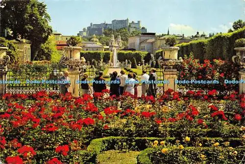 D018549 Salzburg. Blumenpracht im Mirabellgarten. Kiesel