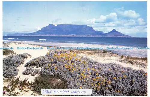D024178 Tafelberg. Kapstadt. Entdecken Sie Südafrika mit der Shell Serie