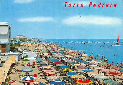 D024357 Torre Pedrera. Panorama von der Meeresküste. B. Marcaccini. 1971