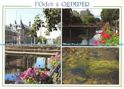 D024913 Lodeta Quimper. Les Passerelles les mulets et truites qui abondent dans