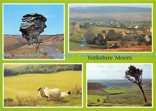 D028123 Yorkshire Moors. Richter. Multi View