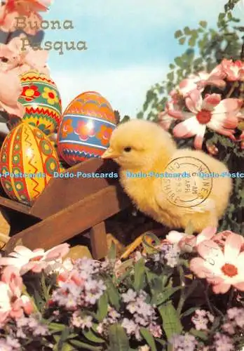 D030605 Buona Pasqua. Grußkarte Ostern. 1983