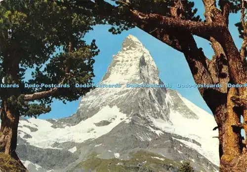 D025422 Schweiz. Das Matterhorn. Bovey. Linda Farbe