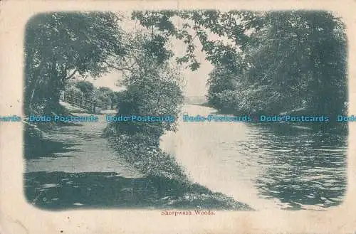 R000010 Sheepwash Woods. 1904