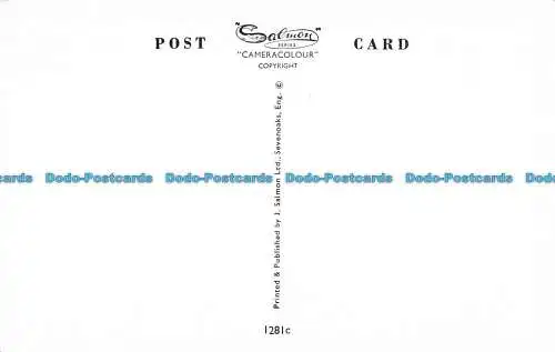 R072977 The Shell House. Polperro. Lachs