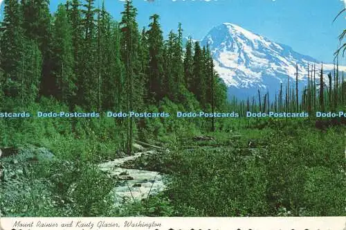 D155787 Washington. Mount Rainier und Kautz Gletscher. Smith Western. Curteichcolo