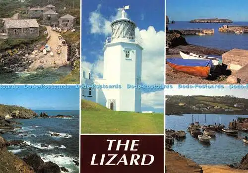 D028404 Die Eidechse. Hinde. Cornwall. Multi View