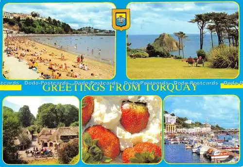 D028417 Grüße aus Torquay. Europa Karten. Neill Metcalfe. Golden Shield. Mul