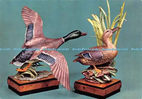 D026837 Dyson Perrins Museum. Worcester. England. Pitkin Bildpostkarten. Zu