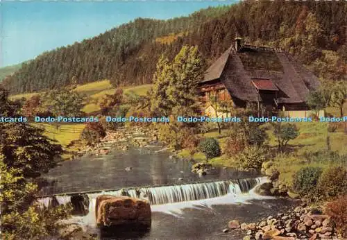 D031018 Schwarzwald Bauernhaus bei Hornberg. Cramers Kunstanstalt