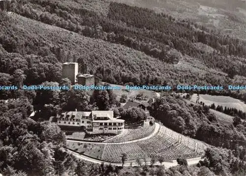 D031063 Burg Windeck. Rebgut und Burggaststatte. 758. Buhl Baden Postfach 65. Mo