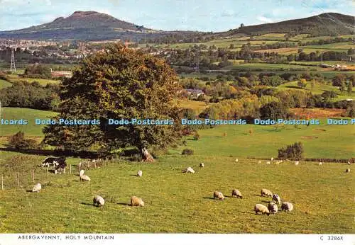 D027071 Abergavenny. Heiliger Berg. Richter. 1976