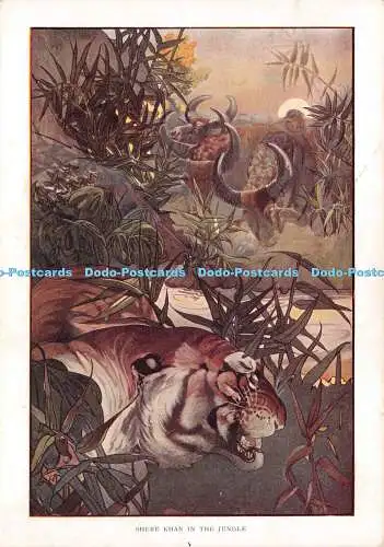 D027125 Shere Khan im Dschungel