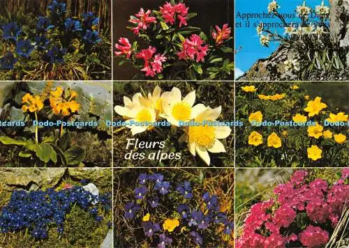 D028935 Fleurs des alpes. Photoglob SA. Multi View