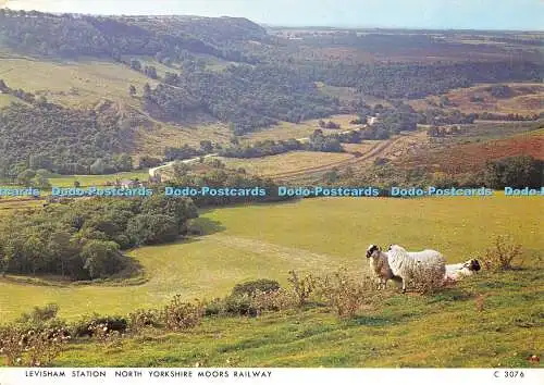 D027164 Levisham Station. North Yorkshire Moors Railway. Richter. 1986