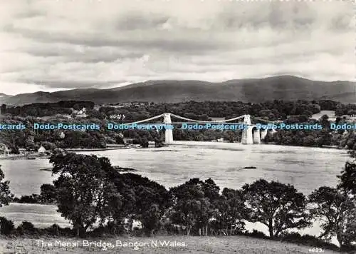 D029010 Die Menai-Brücke. Bangor. N. Wales. RP. 1964