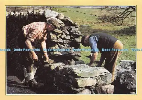 D027817 Traditionelles Handwerk. Männer bauen Trockensteinmauer. Nr. 8. in einer Serie von 1
