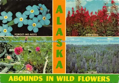 D029279 Alaska. Reich an Wildblumen. Dexter Press. Arctic Circle Enterprises