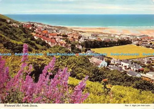 D029448 Westward Ho. North Devon. E. Nagele. Hinde. 1979