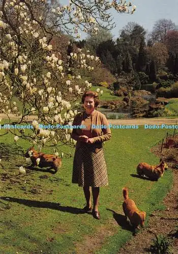 D029560 Ihre Majestät die Königin auf dem Gelände von Sandringham. Jarrold