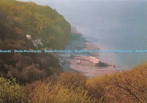 D030190 Clovelly und Hafen. Vom Hobby Drive aus gesehen. John Pallent. Dixon.