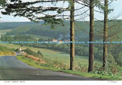 D030199 Dalby Forest Drive. Richter. 1978