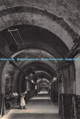D031637 Champagner Pommery und Greno. Reims. Ansicht einer Galerie. Flaschen stellen Hals