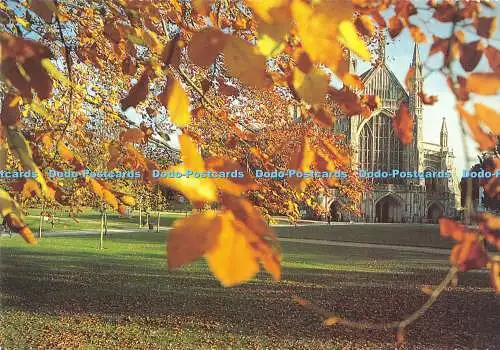 D031875 Winchester Cathedral aus dem Westen. Freunde der Winchester Cathedral. Beleuchtet