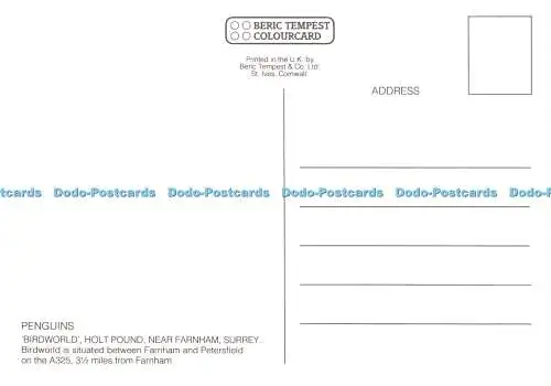 D032229 Surrey. Holt Pound. Nr. Farnham. Vogelwelt. Pinguine. Beric Tempest