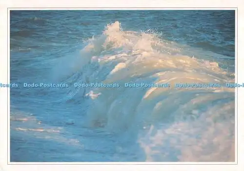 D033078 Rough Sea. J. Salmon. Küstenbilder