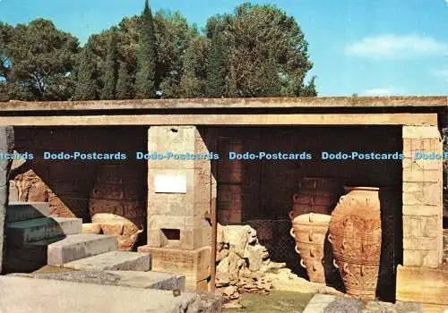 D036343 Cnossos. Die Vorräte der riesigen Gläser. Postkarte