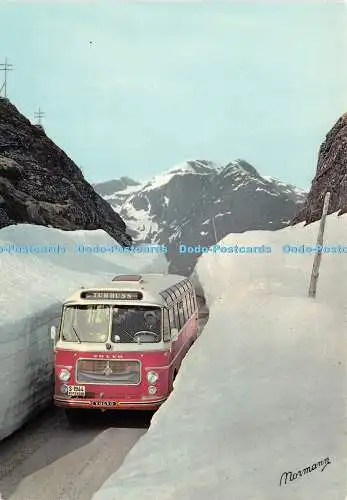 D039259 Norwegen. Gaularfjellet Mountain im Juni. Von der Leihe. Joster. Balestrand R