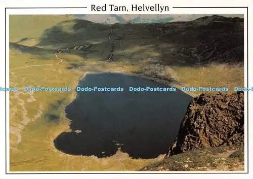 D039419 Helvellyn. Red Tarn. Von Swirral Edge. Pedley Postkarten. Pedley Lakelan