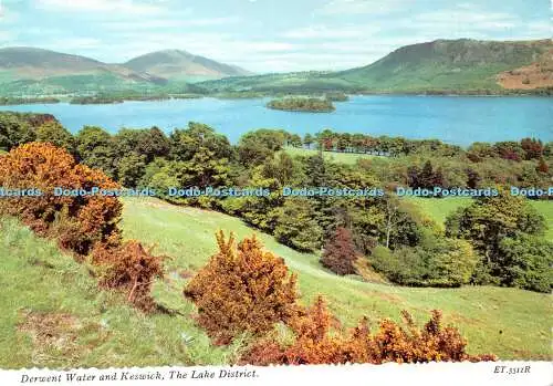 D039852 The Lake District. Derwent Water und Keswick. Valentinstag. Die National Tr