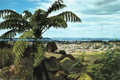 D039965 Auckland N. Z. Titirangi Ende von Waitakeres mit Blick in Richtung Green Bay. Wh